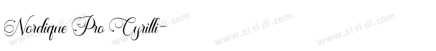 Nordique Pro Cyrilli字体转换